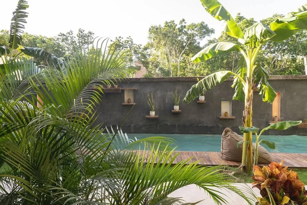 Apartment New 1 Bedroom - Tulum